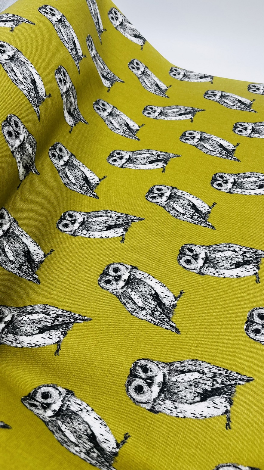 Panama Eulen Olivgrün Beschichtet